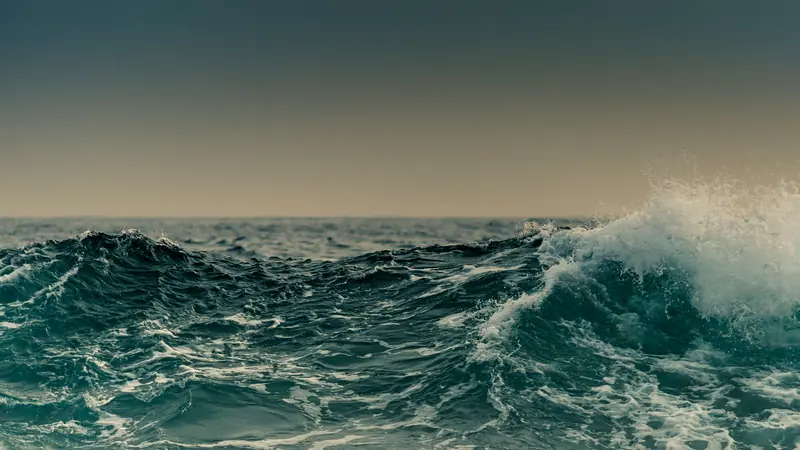A large open-ocean swell wave rolling under a pale sky.